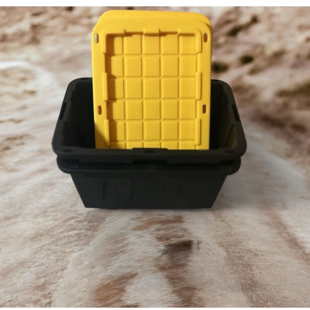 Lowe's Teeny Tote Mini Storage Container - Viral‎ On Tiktok - Set Of 2